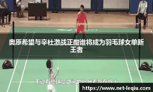 乐球直播