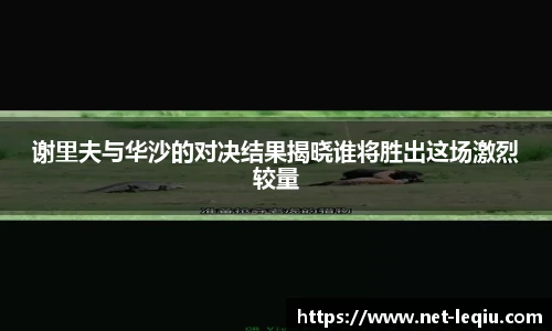 乐球体育直播间